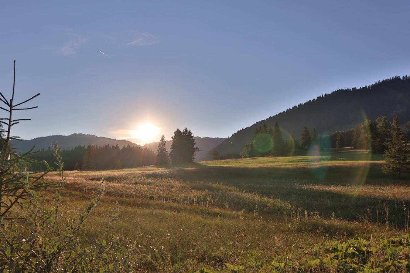 Ruhehotel & Naturresort Rehbach - Adults Only Шаттвальд Екстер'єр фото