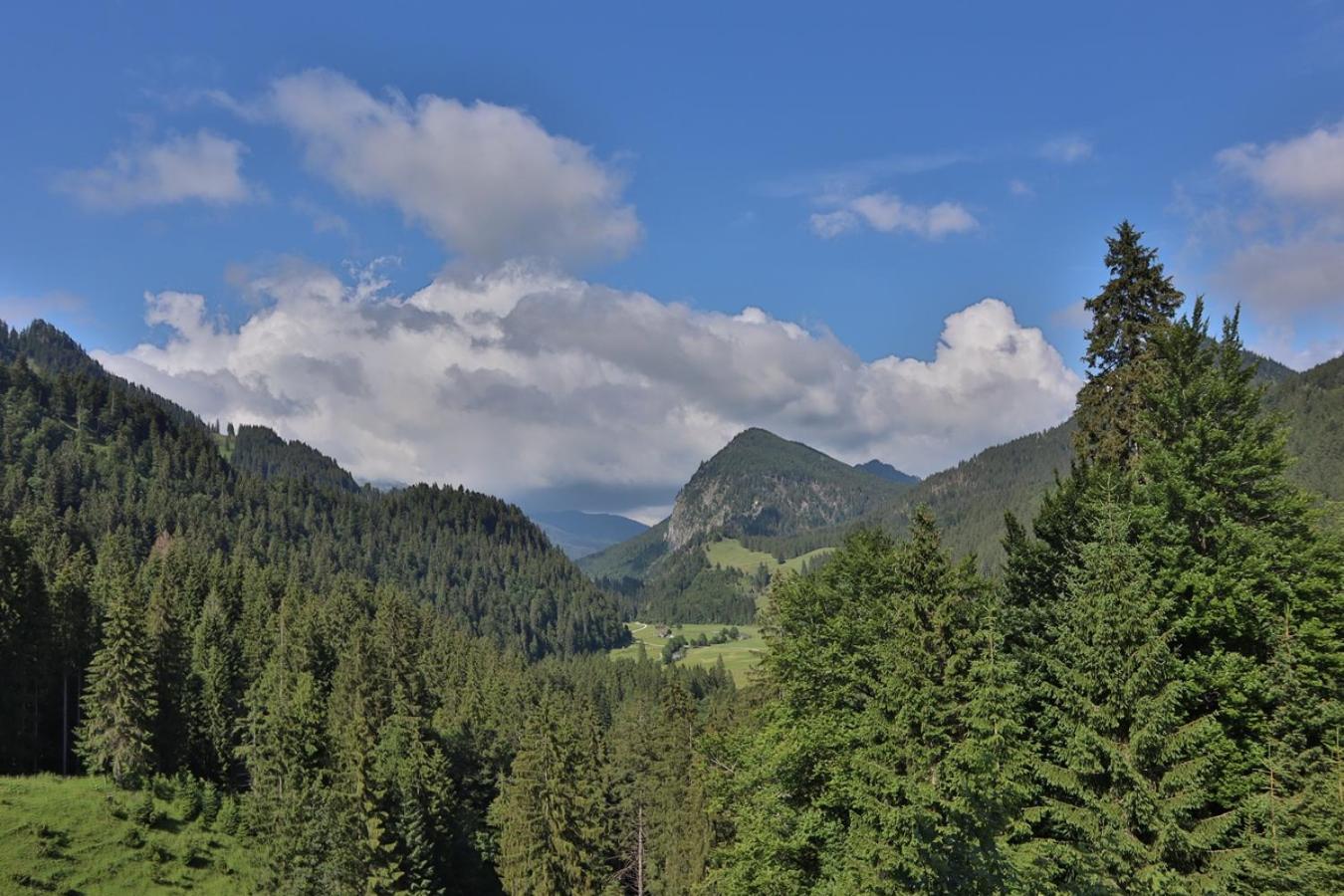 Ruhehotel & Naturresort Rehbach - Adults Only Шаттвальд Екстер'єр фото