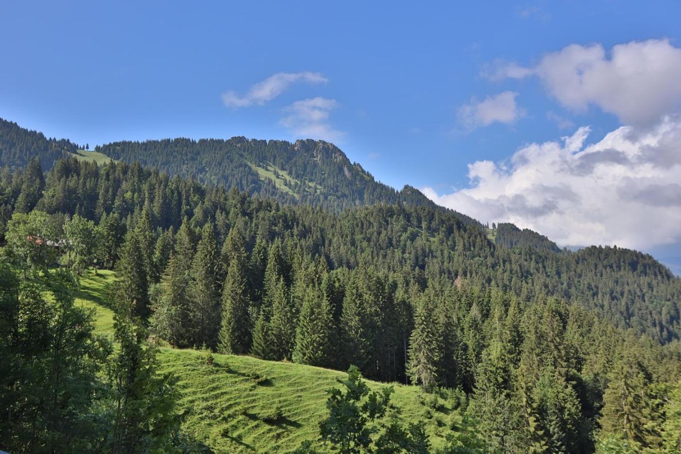 Ruhehotel & Naturresort Rehbach - Adults Only Шаттвальд Екстер'єр фото